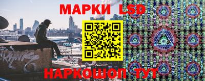 прущие грибы Кулебаки