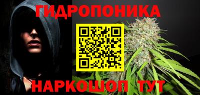 прущие грибы Кулебаки