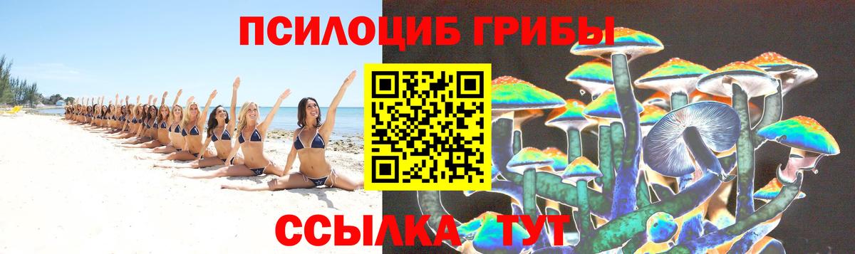 Галлюциногенные грибы Psilocybe  Псилоцибиновые грибы Psilocybine cubensis  Вход с VPN  где продают   Татарск 