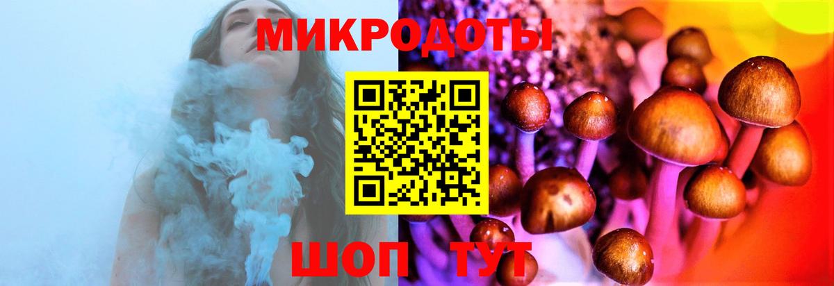 Псилоцибиновые грибы Psilocybine cubensis Татарск